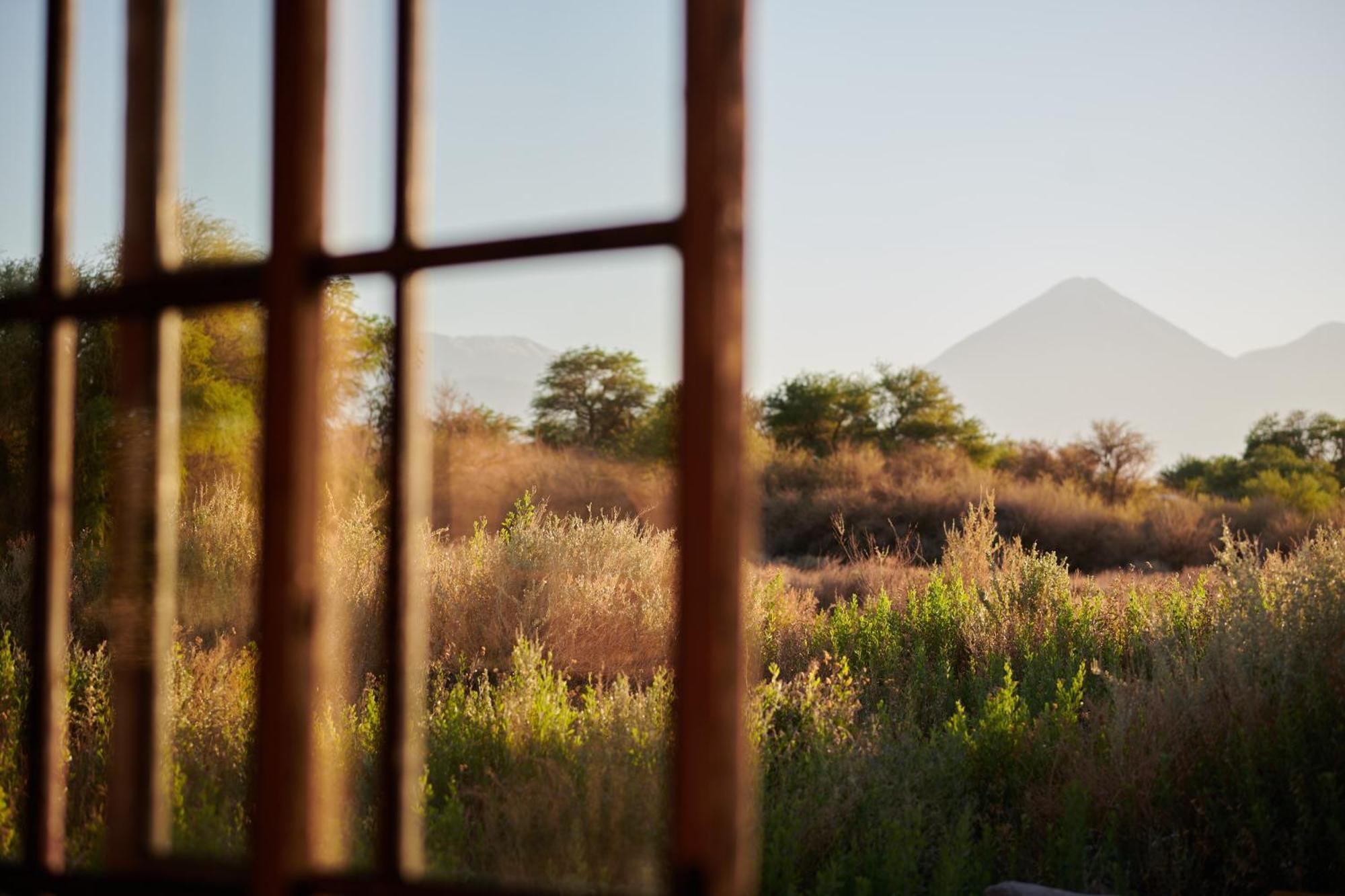 Penzion Casa Chincol San Pedro de Atacama Exteriér fotografie